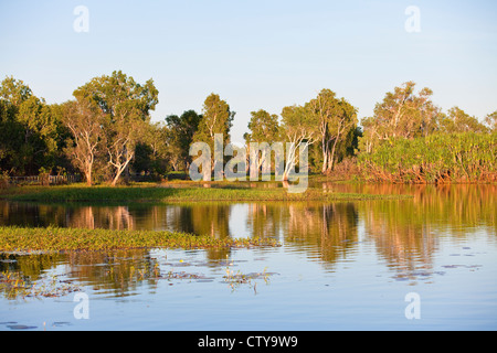 gelbes Wasser Billabong, Australien Stockfoto