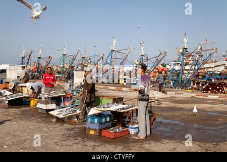 Leute verkaufen Fisch im Hafen, Essaouira, Marokko Afrika Stockfoto