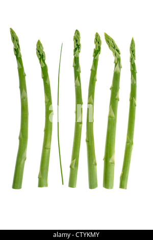 grüner Spargel, auf 100 Prozent weißen Hintergrund isoliert Stockfoto