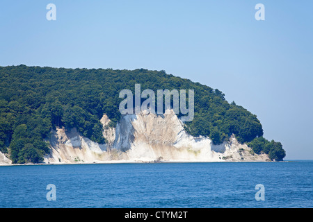 Kreidefelsen in der Nähe von Sassnitz, Halbinsel Jasmund, Insel Rügen, Ostseeküste, Mecklenburg-West Pomerania, Deutschland Stockfoto