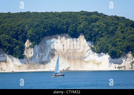 Kreidefelsen in der Nähe von Sassnitz, Halbinsel Jasmund, Insel Rügen, Ostseeküste, Mecklenburg-West Pomerania, Deutschland Stockfoto