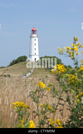 Leuchtturm am Dornbusch Hill, Insel Hiddensee, Ostseeküste, Mecklenburg-West Pomerania, Deutschland Stockfoto