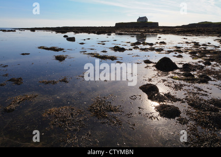 St Cwyfan Kirche (die Kirche im Meer), Cribinau Island, in der Nähe von Aberffraw, Anglesey, Wales Stockfoto