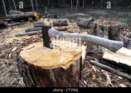 Ein großes Holz schneiden Ax, oder splitting Maul, ruht auf einem hackklotz mit in der Nähe befindlichen Protokolle in den Wald in der Nähe von Whitehorse, Yukon, Kanada. Stockfoto