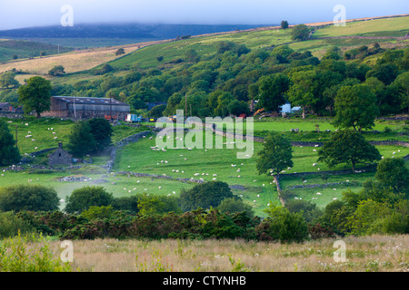 Landschaft in der Nähe von Bettws Garmon, Snowdonia-Nationalpark, Wales Stockfoto