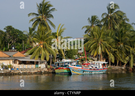 Tiefsee-Fischen-Boote im Hafen, Negombo, Sri Lanka Stockfoto