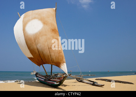 Ausleger-Fischerboot (Oru) am Strand, Negombo, Sri Lanka Stockfoto