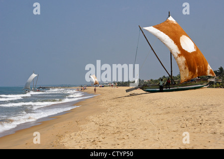 Ausleger Angelboote/Fischerboote (Oru) am Strand, Negombo, Sri Lanka Stockfoto