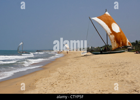 Ausleger Angelboote/Fischerboote (Oru) am Strand, Negombo, Sri Lanka Stockfoto