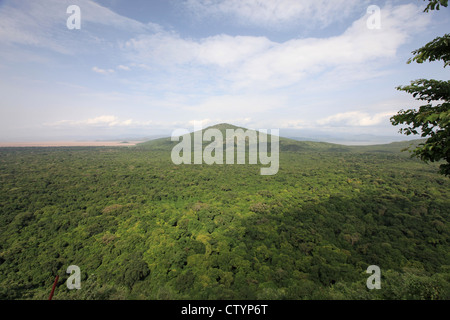 Afrikanische Landschaft Stockfoto