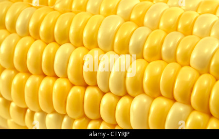 Makroaufnahme einer gelben Mais oder Mais für den Einsatz als strukturierten Hintergrund mit textfreiraum hautnah. Stockfoto