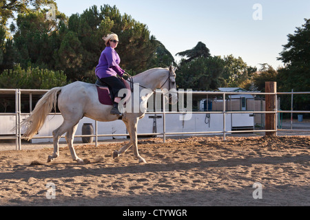 Eine blonde behaarte Frau reitet auf einem weißen Pferd mit einer Dressur-Sattel. Stockfoto