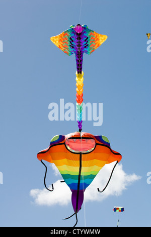 Adelaide Kite Festival jährlich, Semaphore Beach, South Australia Stockfoto