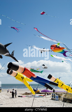 Adelaide Kite Festival jährlich, Semaphore Beach, South Australia Stockfoto