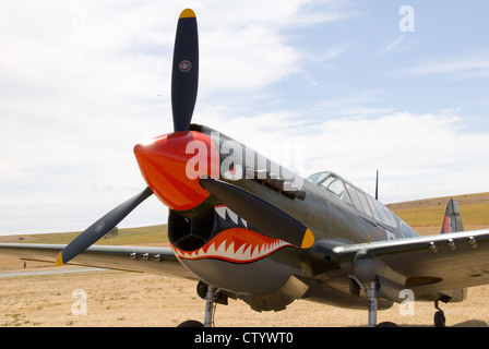 Die Curtiss p-40 Warhawk zeigen Tomahawk oder Kittyhawk, Luft, Adelaide, South Australia. Stockfoto