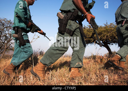 Anti-Wilderer-Einheit auf Patrouille in den Busch, Ezemvelo KZN Wildlife iMfolozi Wildreservat, Südafrika Stockfoto