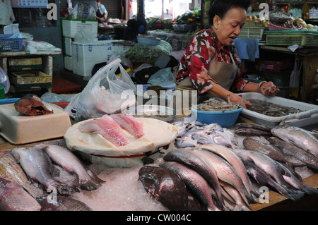 Fisch-Markthalle, Reinigung von frischem Fisch, Asoke Road und Sukhumvit Road, Soi 21, Bangkok, Thailand Stockfoto