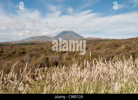 Der Tongariro-Nationalpark in Neuseeland. Die Gipfel des Mount Ngauruhoe und Mount Tongariro aktive Vulkane auf der Nordinsel Stockfoto