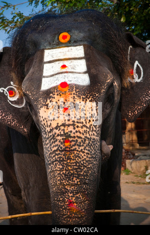 Lackiert, Lakshmi, Tempel, Elefanten, UNESCO-Weltkulturerbe, Hampi, Indien, Asien Stockfoto