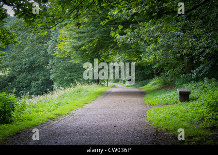 Eine schöne und ruhige Landstraße in yorkshire Stockfoto