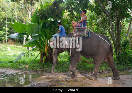 Touristen reiten auf asiatischen Elefanten auf der Insel Ko Samui, Thailand. Stockfoto