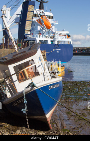 FerryDen Fischerboote. Montrose Hafen Schottland, Vereinigtes Königreich Stockfoto