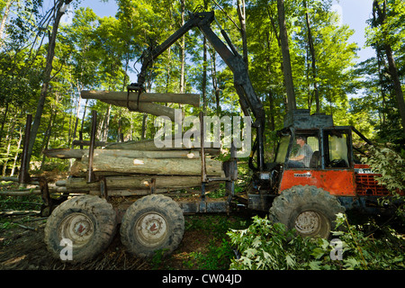 Mann-Protokollierung-Ahorn mit einem Spediteur in den Wäldern von New York State, USA Stockfoto