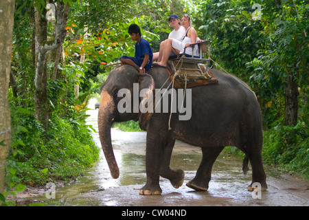 Touristen reiten auf asiatischen Elefanten auf der Insel Ko Samui, Thailand. Stockfoto