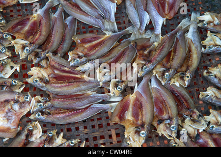 Anbieter verkaufen Trockenfisch auf einem Freiluftmarkt auf der Insel Ko Samui, Thailand. Stockfoto