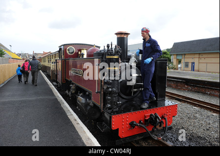 Vale des Rheidol Railway Station bei Aberystwyth Wales Uk Stockfoto