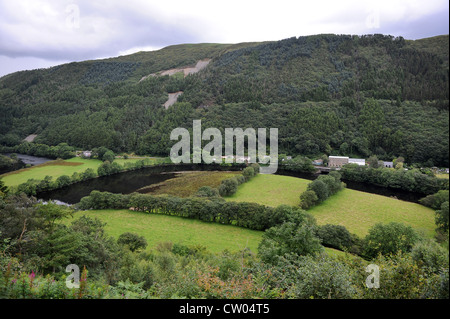 Rheidol Tal in der Nähe von Devils Bridge Ceredigion West Wales Stockfoto