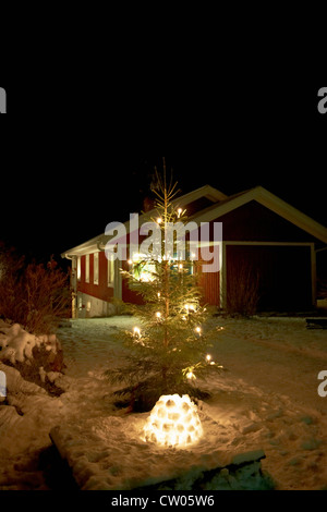 Weihnachtsbaum beleuchtet im Schnee Stockfoto