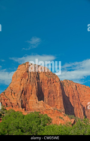 Kolob Canyons, Zion Nationalpark, Utah Stockfoto