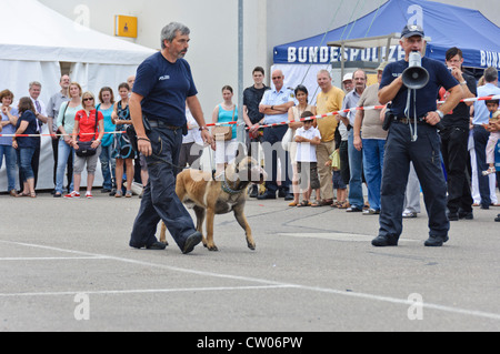 Belgischer Schäferhund Malinois Bundesministerium der Finanzen (Bundespolizei) Polizeihund Durchführung einer Schutz-Hund-Übung in der Öffentlichkeit - Deutschland Stockfoto