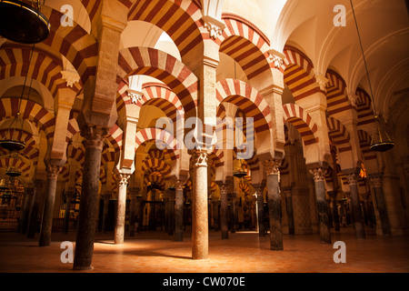 Das wunderbare Interieur der Kathedrale Moschee von Cordoba, Cordoba, Andalusien, Spanien, Europa. Stockfoto