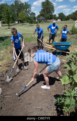 Detroit, Michigan - Praktikanten aus Blue Cross Blue Shield of Michigan arbeiten als Freiwillige, die helfen, um einen Gemeinschaftsgarten zu schaffen. Stockfoto