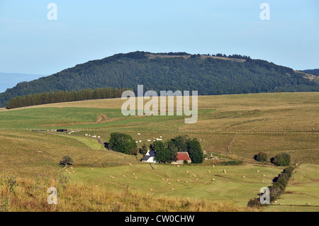 Bauernhof in Cezallier, Puy de Dome, Auvergne, Massif Central, Frankreich Stockfoto