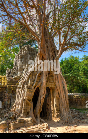 Ta Som Tempel in Kambodscha Stockfoto