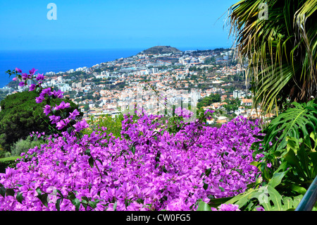 Portugal - Madeira - Hang oberhalb Funchal - botanische Gdns - Blick über die Stadt bis zum Meer - umrahmt von Blumen Stockfoto