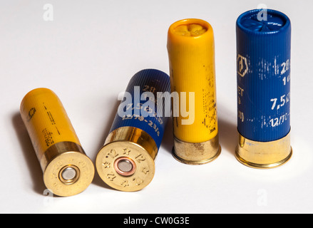 Zwölf trug - blau und zwanzig bore - gelb, Schuss Gewehr-Patronen auf weißem Hintergrund Stockfoto