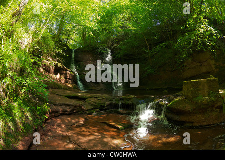 Pwll y Wrach Wasserfälle und Naturschutzgebiet im Frühling Sonnenschein, Brecon Beacons National Park, Wales, Cymru, UK, Vereinigtes Königreich Stockfoto