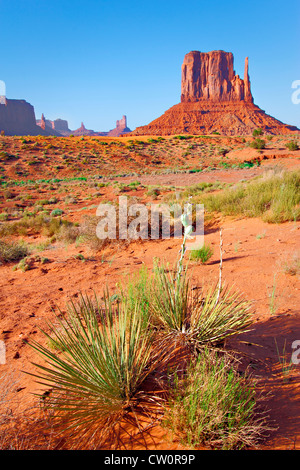 Wüste Weitwinkelaufnahme mit Buttes und Felsformationen im Hintergrund und grüne Yucca Pflanze im Vordergrund Stockfoto