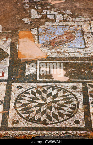 Schönen Mosaik bei Asklepion (Tempel des Asklepios) der Antike Lissos, in der Nähe von Sougia Stadt, Chania, Kreta, Griechenland. Stockfoto