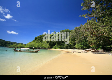 Matrose auf Long-tailed Boot in der Nähe von Strand und Mangroven Tropenwald am Surin Inseln Nationalpark, Thailand Stockfoto