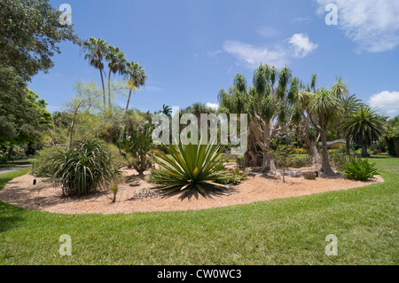 Fairchild Tropical Botanical Gardens in Coral Gables, einem Vorort von Miami, Florida. Stockfoto