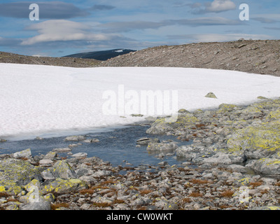 Stream aus Schneeschmelze durch eine Moräne im Dovrefjell Nationalpark in Norwegen Stockfoto