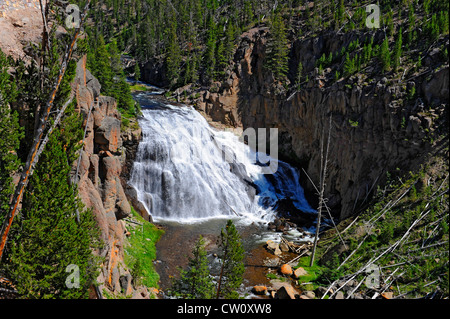 Wyoming Gibbon Falls Yellowstone Nationalpark, WY Stockfoto