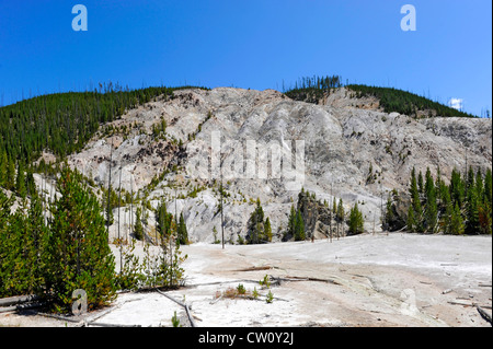 Wyoming Roaring Mountain Yellowstone Nationalpark, WY Stockfoto