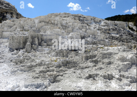 Minerva Terrasse Mammoth Hot Springs Yellowstone Nationalpark Wyoming, WY Stockfoto