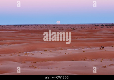 Vollmond über Bergen über der Sahara Wüste Erg Chigaga, Marokko Stockfoto